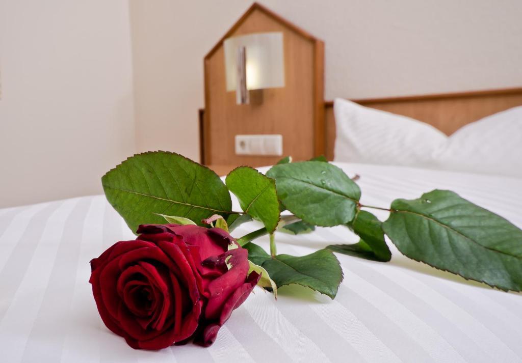 Serviced Apartments Kurpfalzhof Oftersheim Стая снимка
