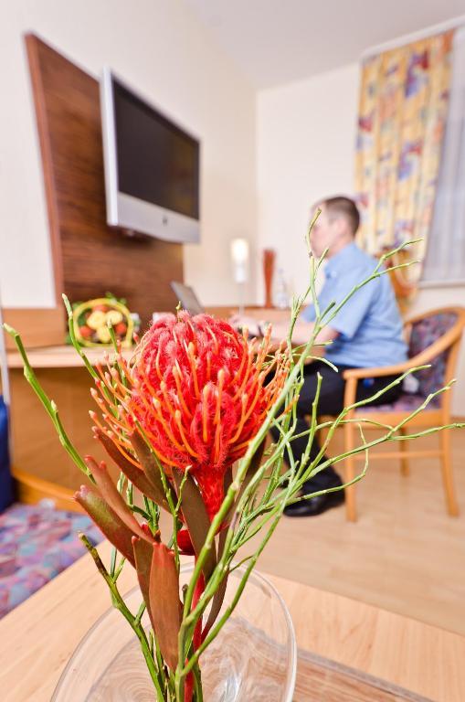Serviced Apartments Kurpfalzhof Oftersheim Стая снимка