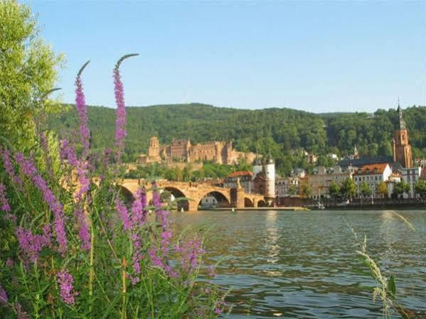 Serviced Apartments Kurpfalzhof Oftersheim Екстериор снимка