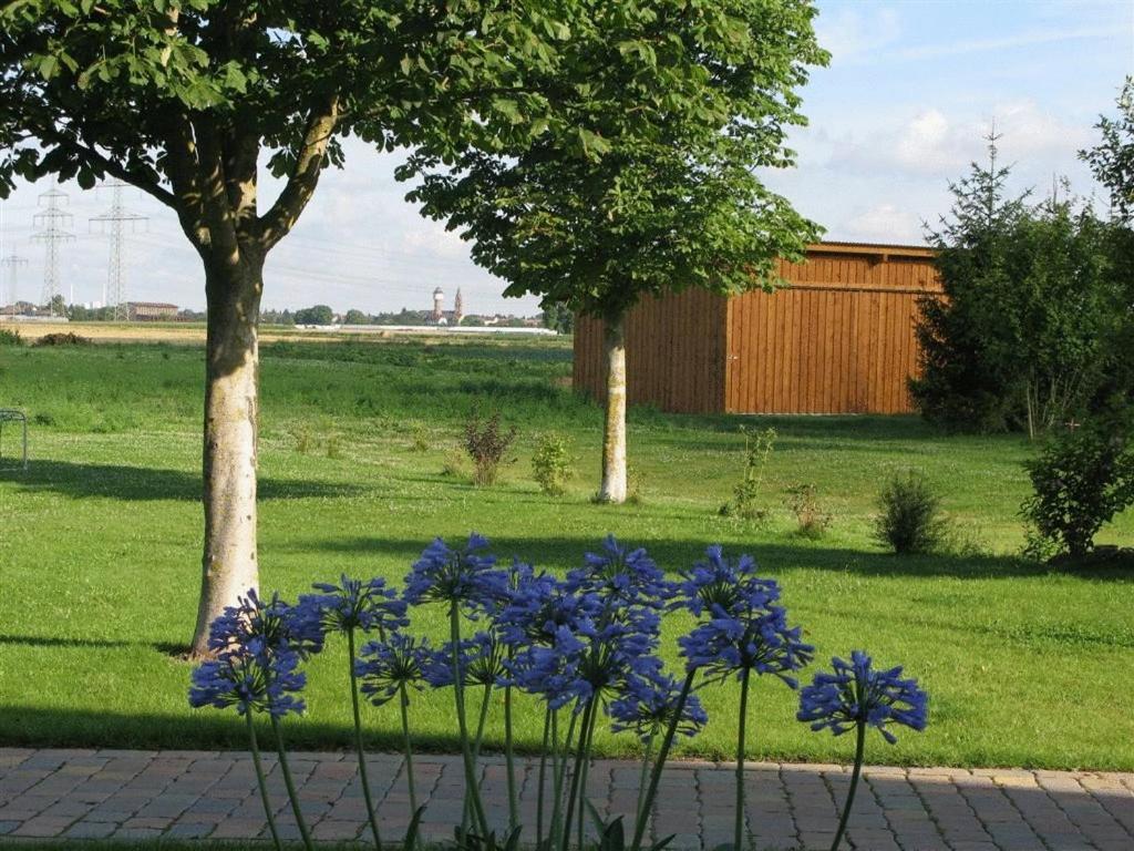 Serviced Apartments Kurpfalzhof Oftersheim Екстериор снимка