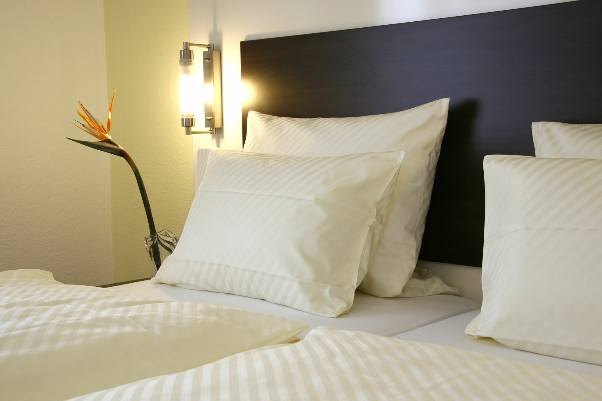 Serviced Apartments Kurpfalzhof Oftersheim Екстериор снимка