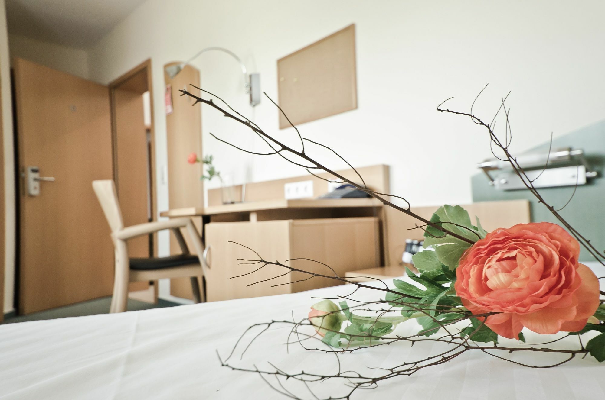 Serviced Apartments Kurpfalzhof Oftersheim Екстериор снимка